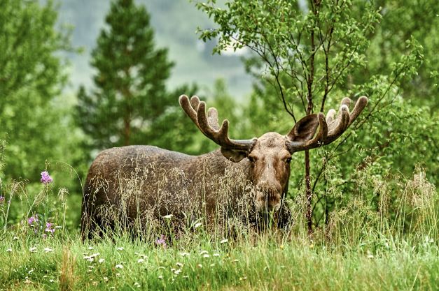 shutterstock_677410504