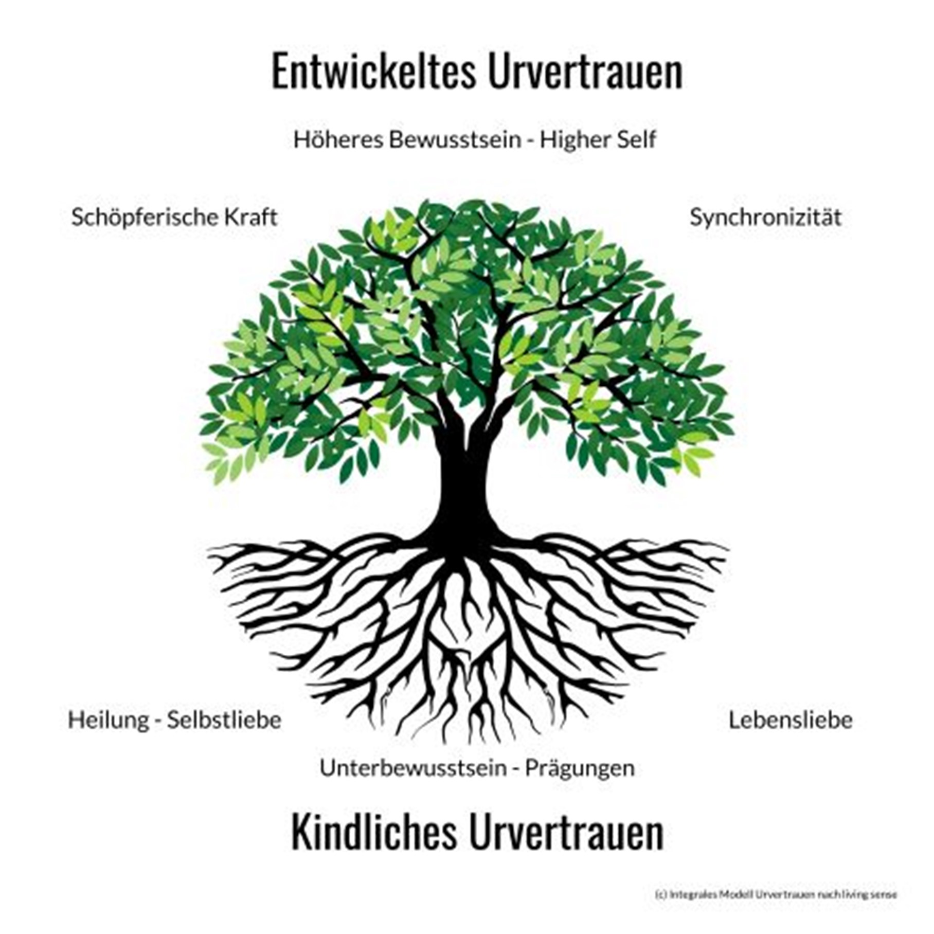Urvertrauen im Coaching living sense