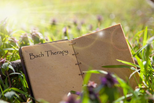Bachblüten im Coaching