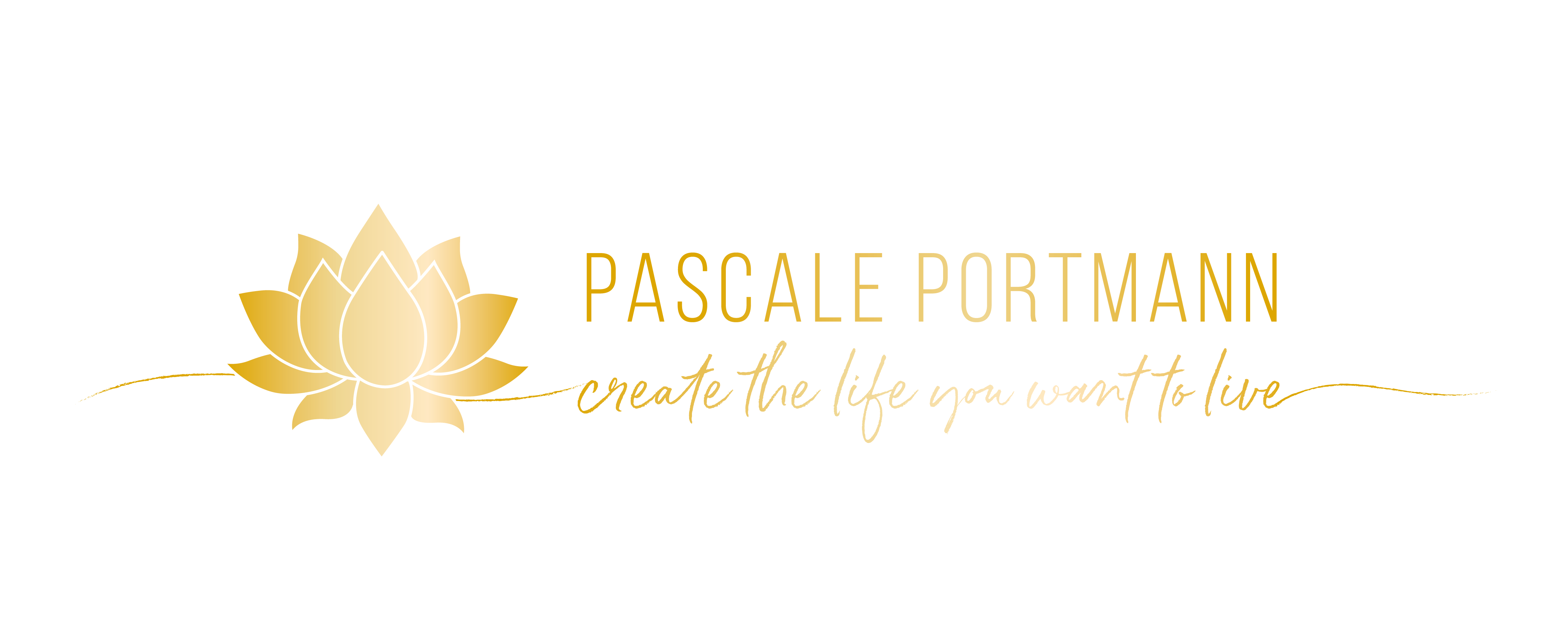 Logo PP v2