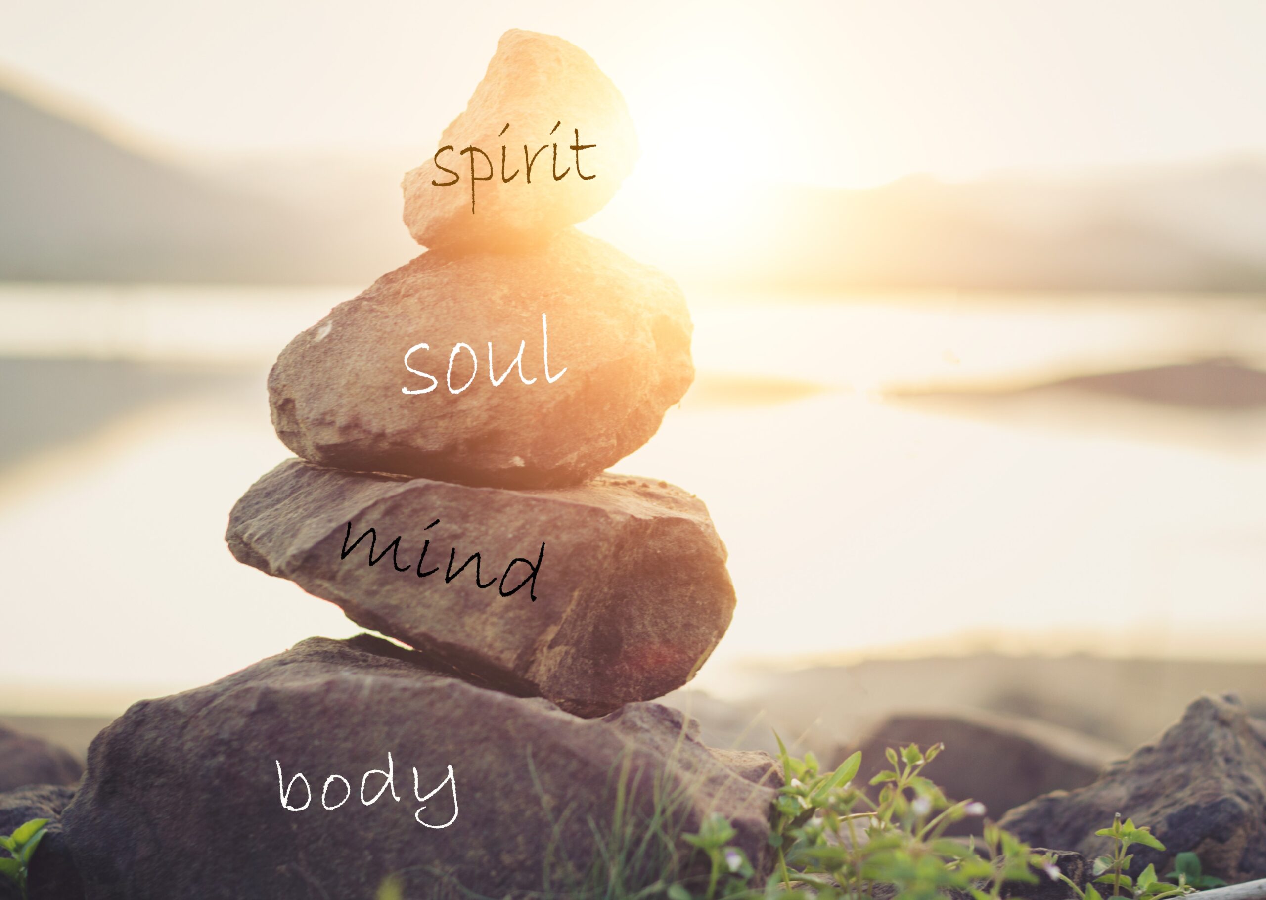 shutterstock_1192575313 - Kopie (2)